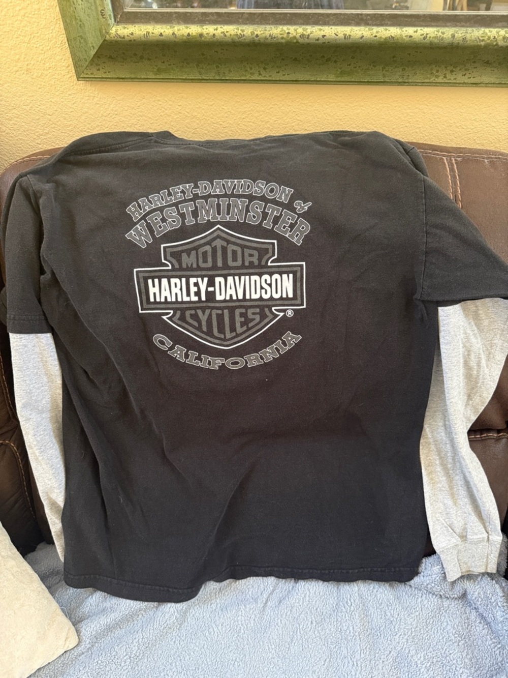 Harley-Davidson Black Long-Sleeve Shirt with Gray Sleeves and Back Logo